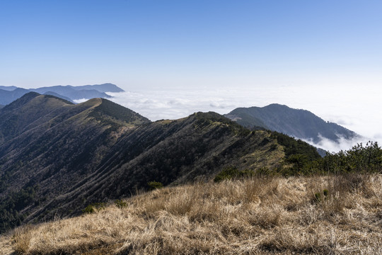 天目山