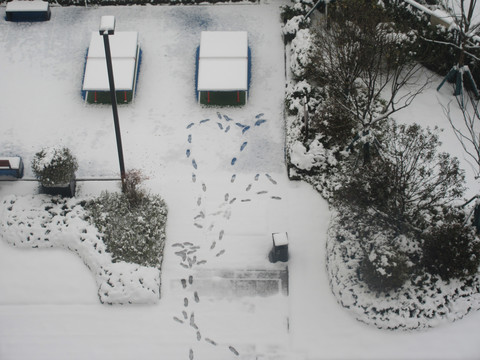 冬日雪景