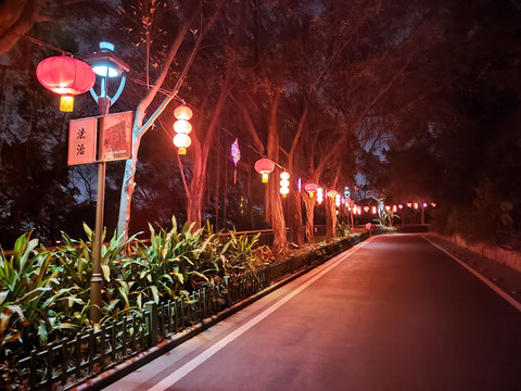 金鸡山夜景