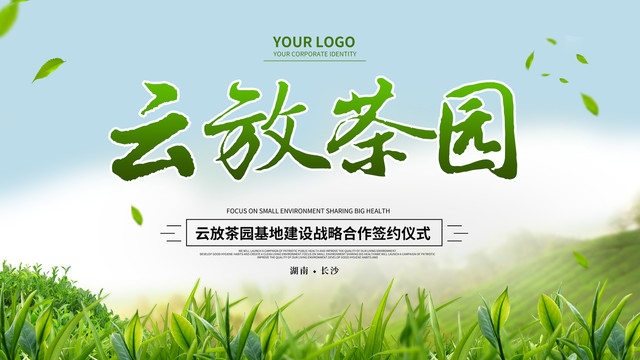云放茶園