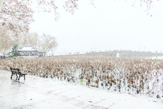 杭州西湖雪景断桥残雪