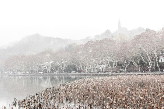 杭州西湖雪景冬景