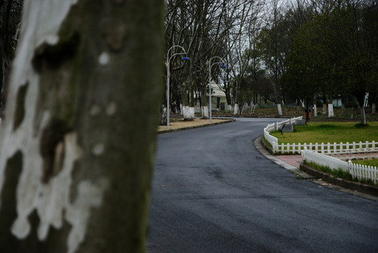 园林道路