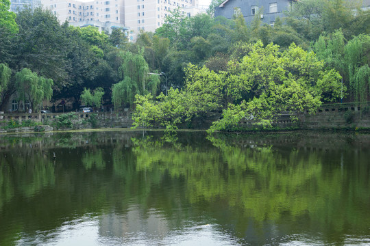 重庆大学民主湖