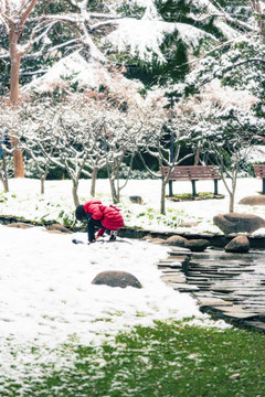 雪景