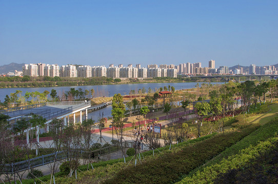 南安城西湿地公园眺望风景