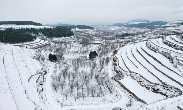 山乡梯田雪景美