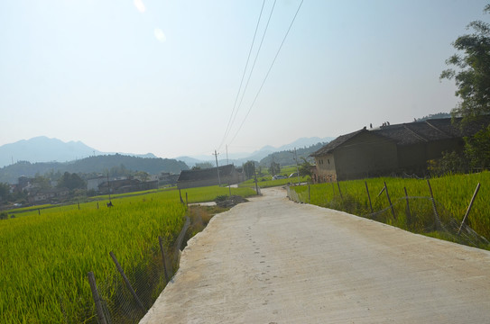 乡村道路