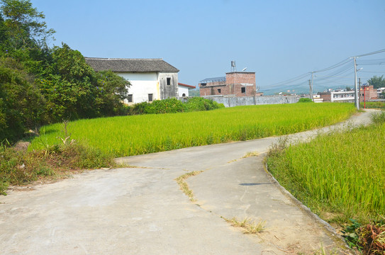 乡村道路