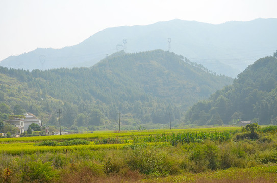 山区稻田