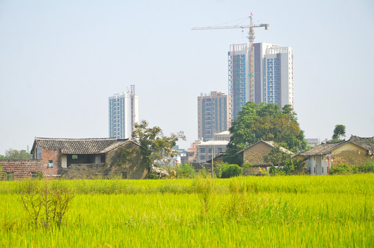 新农村建设