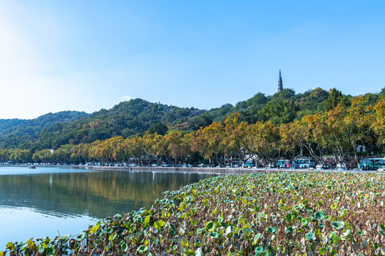 浙江杭州西湖风景区