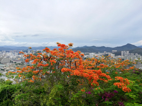 山顶花园