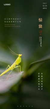 驚蟄