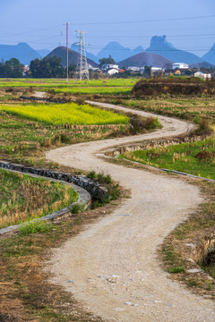 乡村道路