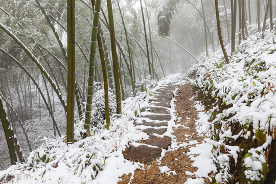 宜宾蜀南竹海冬季雪景自然风光