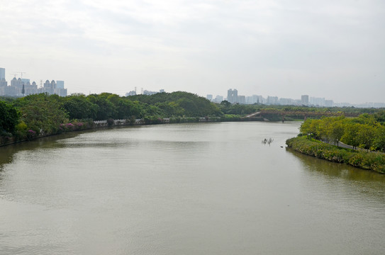 海珠湿地