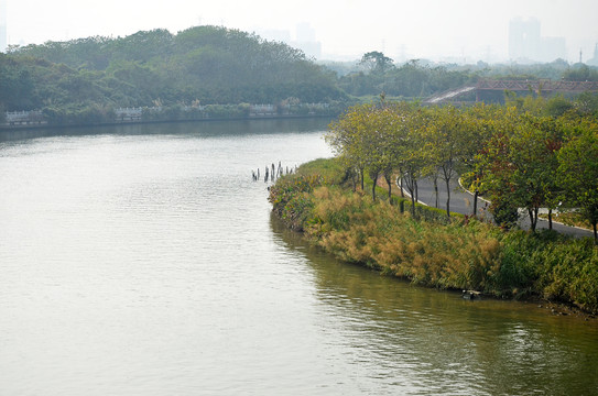 海珠湿地