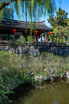 浙江绍兴沈园景点