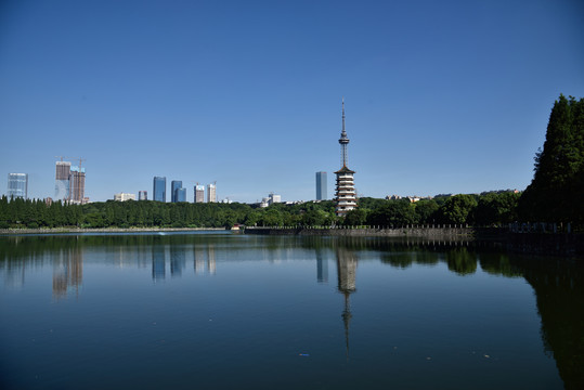 长沙年嘉湖城市建筑风光