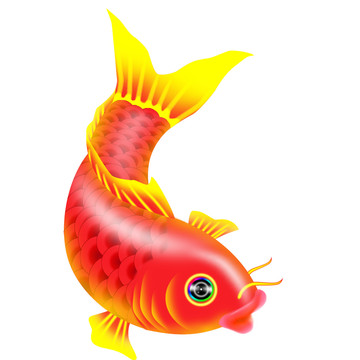 金魚