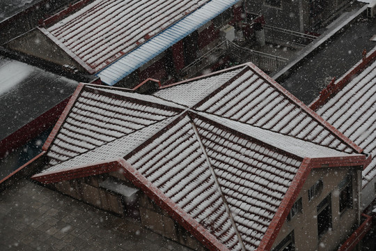 春雪