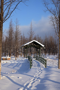 雪景