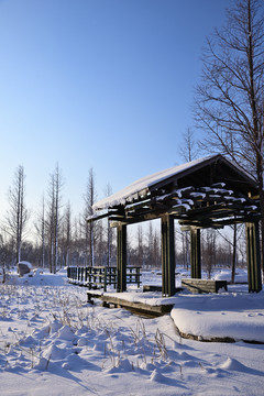 雪景