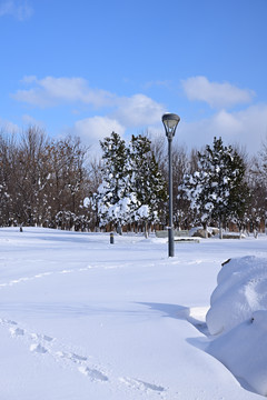 雪景