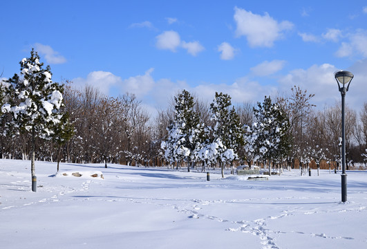 雪景