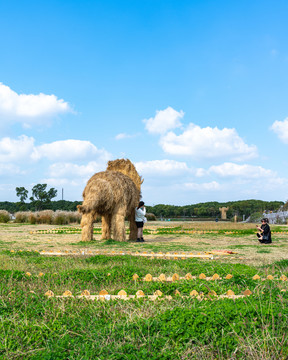 上海嘉北郊野公园