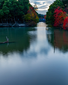 池塘秋色倒影