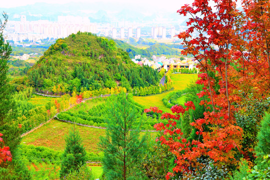 贵州醇景区秋景