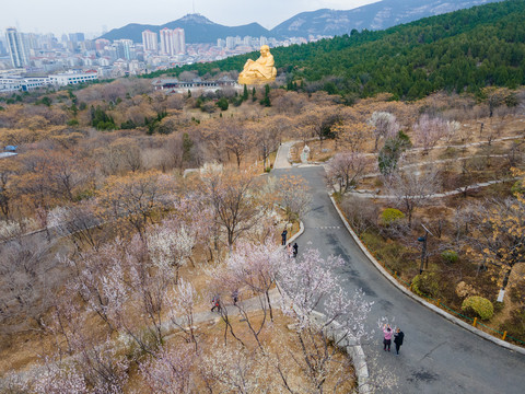 济南千佛山桃花盛开11