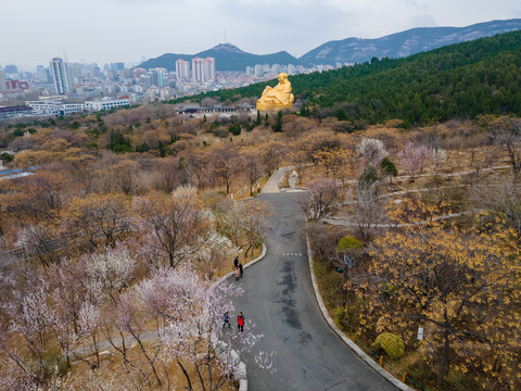 济南千佛山桃花盛开12