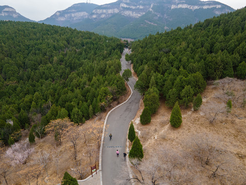 济南千佛山桃花盛开17