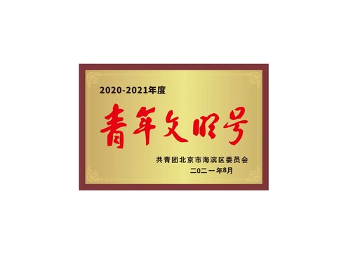 青年文明號(hào)獎(jiǎng)牌