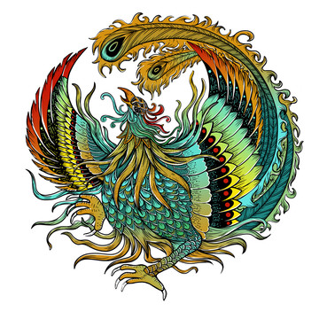 民族風(fēng)五彩鳳凰包裝插畫