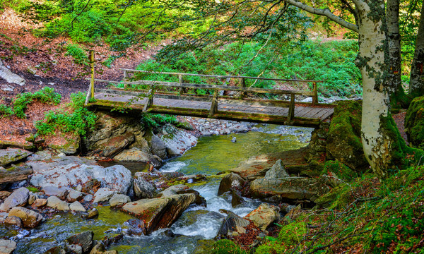 山涧溪流