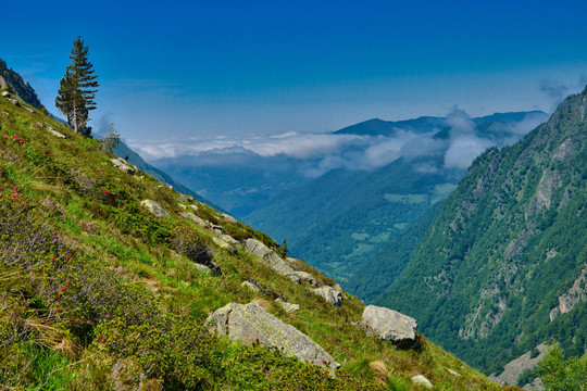 山景