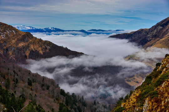 山景