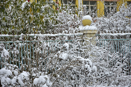 雪景