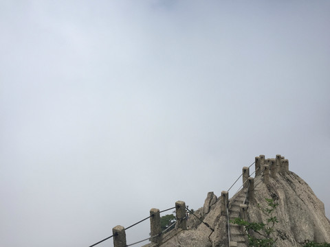 黄山鲫鱼背