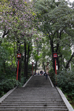 登山石阶路