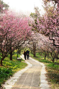 花路