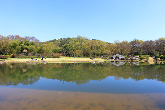 武汉东湖樱花园