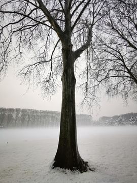 黄河迎宾馆雪景