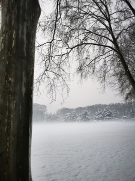 雪景