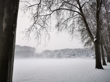 黄河迎宾馆雪景