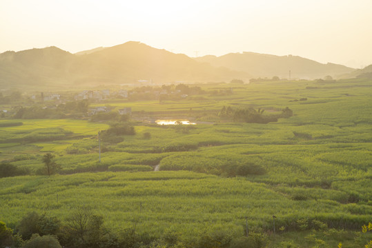 夕阳风景